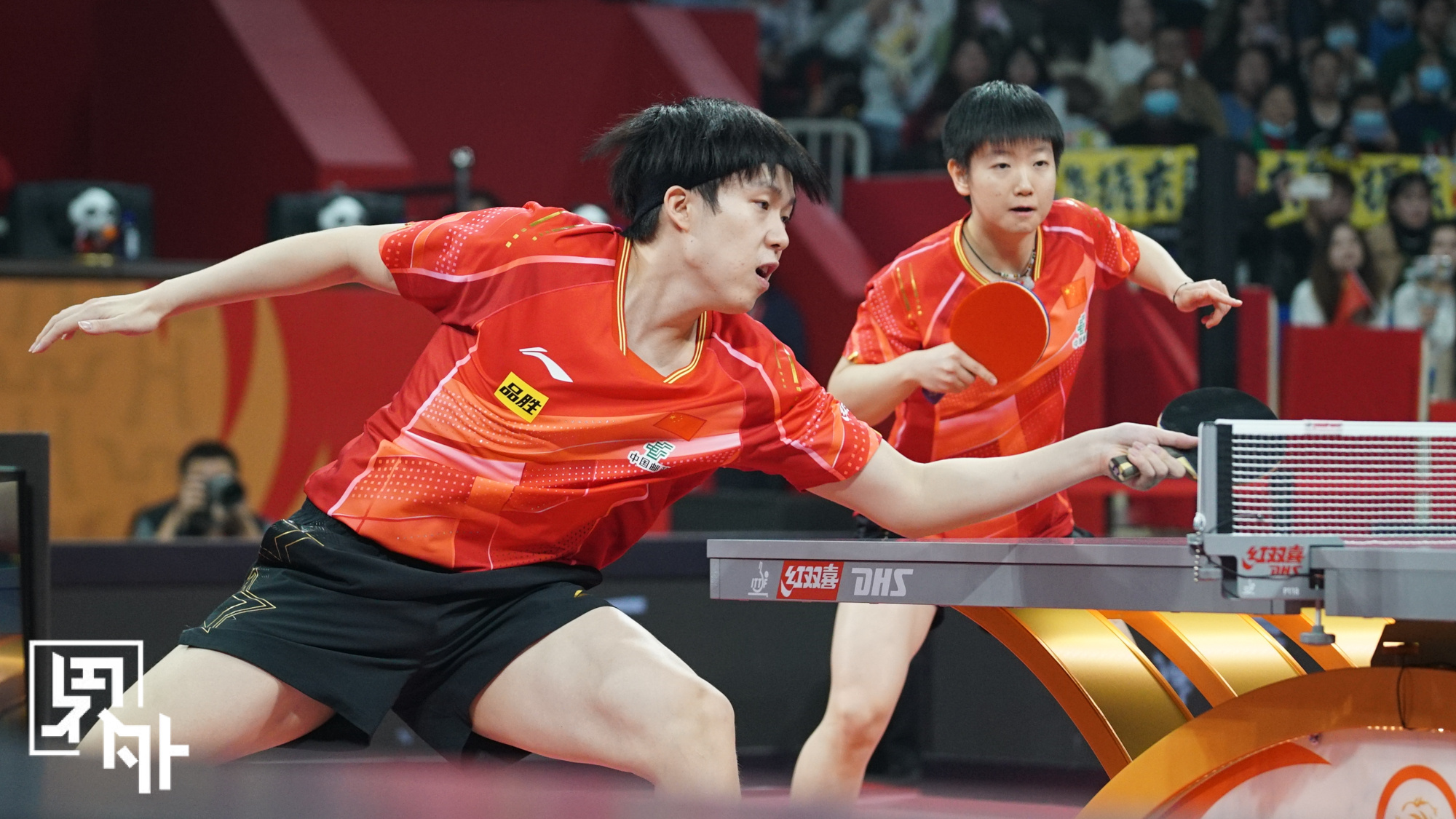 关于韩国乒乓球队血洗中国乒乓球队,波尔惊艳世界的信息 关于韩国乒乓球队血洗中国乒乓球队,波尔惊艳世界的信息